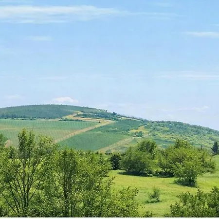 Dimora Gundin Говоне